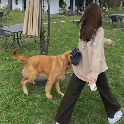 孤独的心